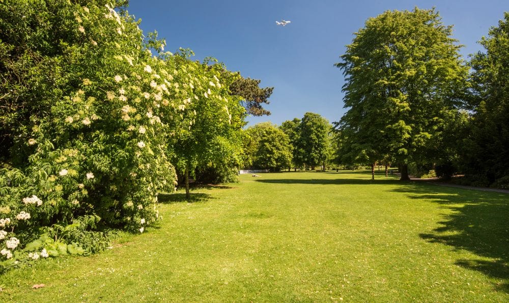 Thinking Of Moving To A New Neighbourhood?